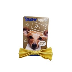 MUSZKA OZDOBNA DLA PIESKA ZŁOTA - D888